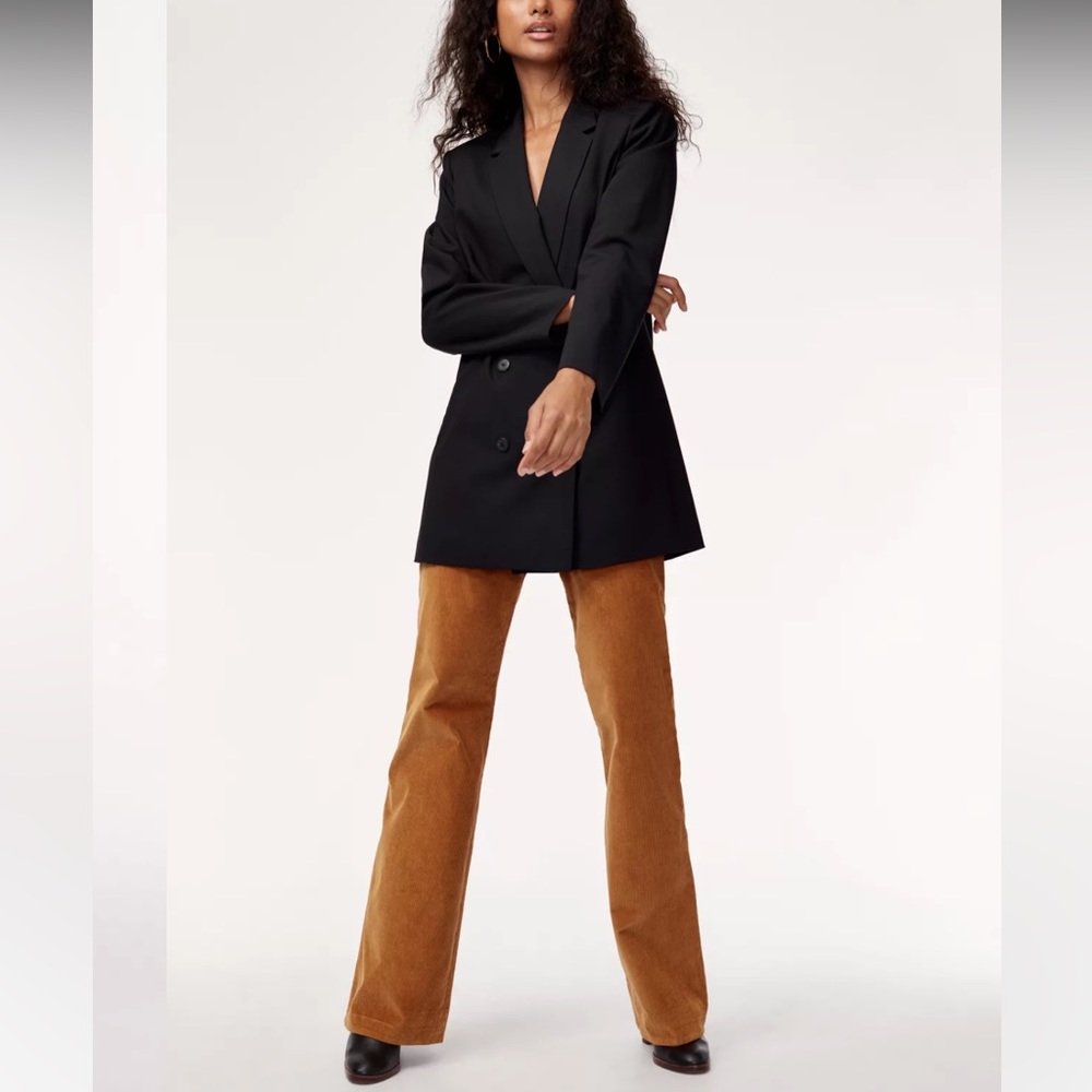 Aritzia BABATON Joey Corduroy Pants